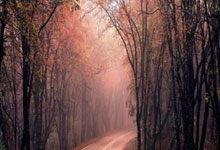 九游会：辽篮内线风云！赵继伟的独家答案 谁更值得信赖 奥利弗还是莫兰德？.