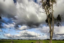 九游会：自由式滑雪世锦赛女子U型池：李方慧摘银，获得首枚世锦赛奖牌.